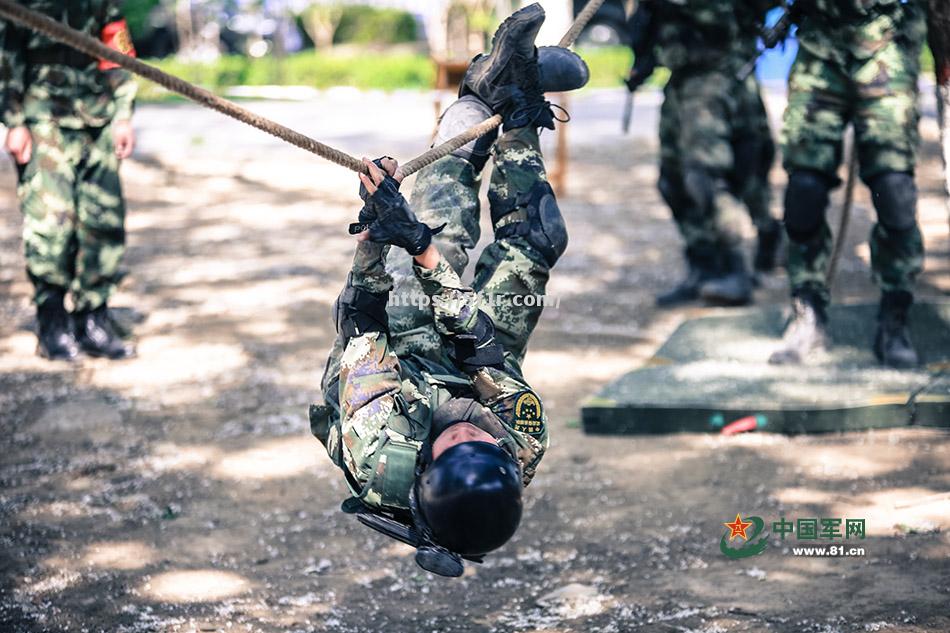 火药味浓：比赛气氛热烈紧张尽显热度